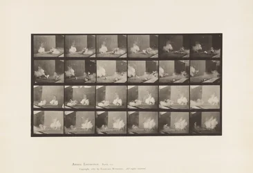 Tafel 781. Hühner; Erschreckt durch Torpedo