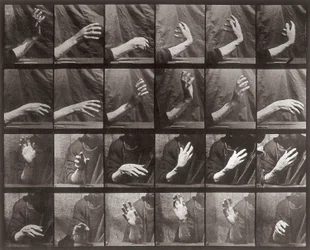 Sequenz mit Handbewegung, Platte 535 aus Animal Locomotion