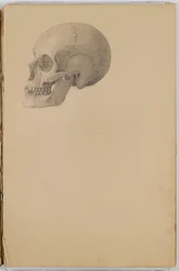 Anatomie-Skizzenbuch, 1849