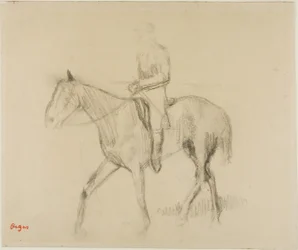 Pferd und Reiter