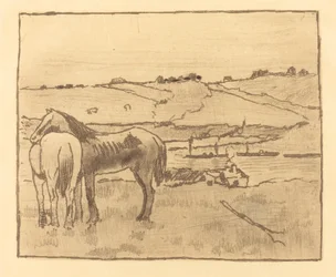 Pferde auf der Wiese