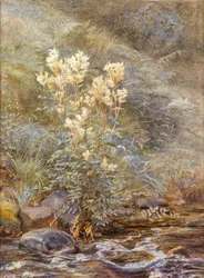 Mädesüß neben einem Bach, Invernesshire, ca. 1883