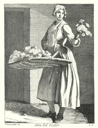 Meine hübsche Nelke (Gravur)