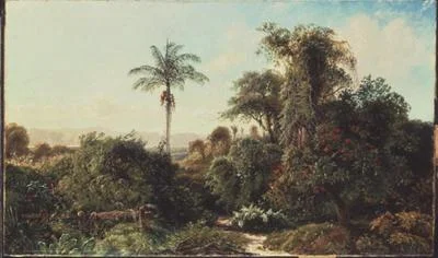 Kubanische Landschaft