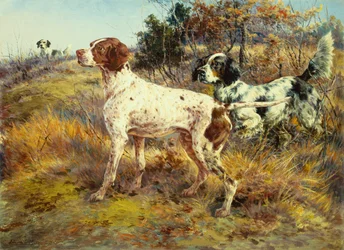 Ein Deutsch Kurzhaar und zwei Setter in einer Landschaft