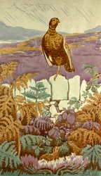 Ausblick über das Moor, ca. 1930