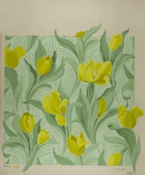 Tulpe