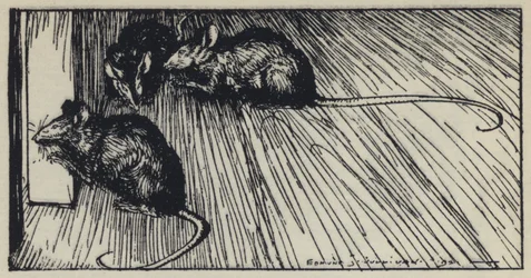 Illustration für Tennysons Maud