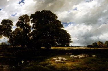 Landschaft mit Schafen