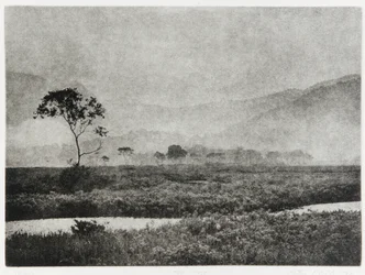 Oze Nebel, 1993