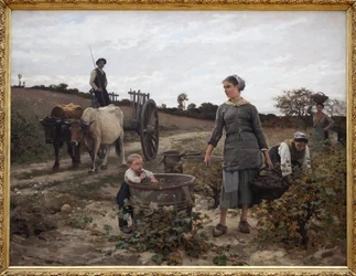 Ecke des Weinbergs; Languedoc. Ländliche Szene mit einem Mann auf einem Wagen, Frauen, die Trauben pflücken, und einem Kind, das die geernteten Früchte isst