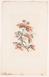 Blumen und Knospen