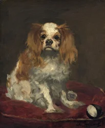 Ein King Charles Spaniel, ca. 1866