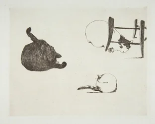 Katzen, 1868-69
