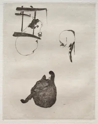 Die Katzen