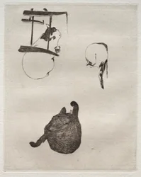 Die Katzen
