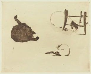 Die Katzen, 1869