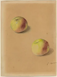 Zwei Äpfel