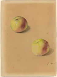 Zwei Äpfel