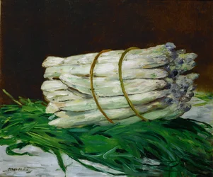 Ein Bund Spargel
