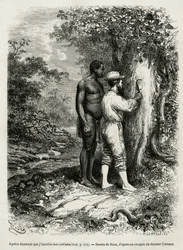 Apatou, Führer und Reisebegleiter, bittet den Forschungsreisenden und Autor, seine Initialen in die Rinde eines Baumes zu ritzen. Stich von Riou zur Illustration des Berichts Cayenne aux Andes von Jules Crevaux, Arzt der französischen Marine, 1878-1879