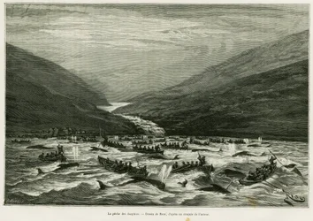 Delfinfang. Gravur von Riou zur Illustration der Geschichte „Ein Monat im Archipel der Färöer“ von H. Labonne, veröffentlicht in Le Tour du monde 1887