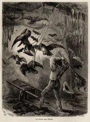 Eulenjagd in der Kirche von Sarayacu (Peru), Zeichnung von Riou zur Illustration von Paul Marcoys Reise vom Pazifik zum Atlantik von 1848 bis 1860. Gravur in „Le tour du monde“, herausgegeben von Edouard Charton