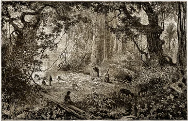 Installation eines Forscherlagers in Guatemala (1882)