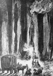 Als der Abend kam, lagerte man am Fuß der Eukalyptusbäume, Illustration für „Die Kinder des Kapitän Grant“, einen Abenteuerroman von Jules Verne (1828-1905), gestochen von Adolphe François Pannemaker (geboren 1822) nach einer Zeichnung von Édouard Riou