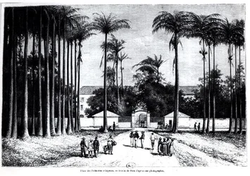 Place des Palmistes, Cayenne, Guyana