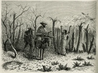 Die Heuschreckenschwärme des oberen Patia-Tals, mit dem Erzähler der Reise auf seinem Maultier, Gravur von Riou, um die Geschichte L