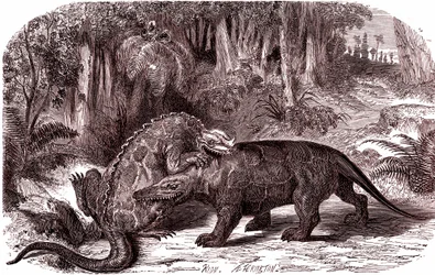 Der Iguanodon und der Megalosaurus (Gravur)