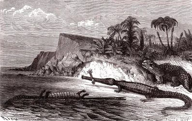 Der Teleosaurus und der Hyleosaurus