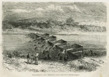 Die Fischereiindustrie am Fluss Eboga, die die Fische durch die Stromschnellen durch ihre Bambusfallen führt, Zeichnung von Riou, zur Illustration der Geschichte einer Reise nach Gabun und dem Fluss Ogoue, 1875-1877, von Alfred Marche. Gravur in Le tour du