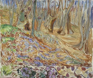 Frühling im Ulmenwald