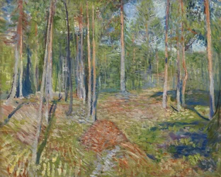 Kiefernwald, 1891-1892