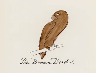 Das Vogelbuch: Der braune Vogel