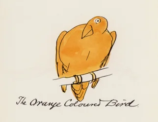 Das Vogelbuch: Der orangefarbene Vogel