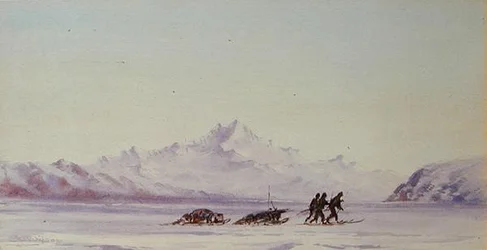 Arktische Szene