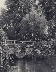 Ein ungeschickter Wurf