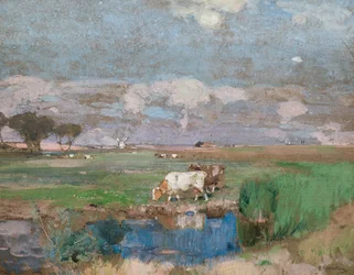 Suffolk-Weiden