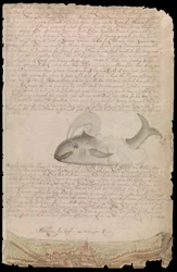 Tafel aus Edward Barlows Tagebuch über sein Leben auf See in Königsschiffen, Ost- und Westindienfahrern und anderen Handelsschiffen von 1659 bis 1703