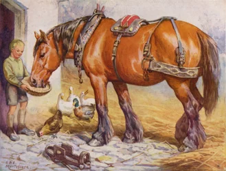 Junge füttert ein Pferd auf einem Bauernhof