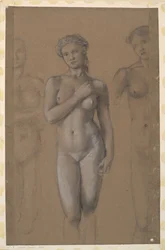 Weiblicher Akt - Drei Studien, möglicherweise für Venus