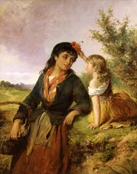 Mohnblumen