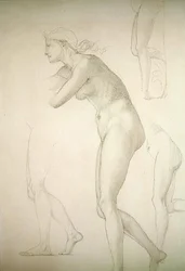 Galatea