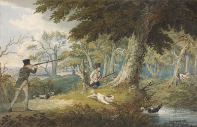 Fasanenjagd
