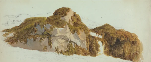 Studie von Felsen mit Seetang bedeckt