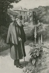 Charles Darwin in seinem Garten im Down House (Lithografie)