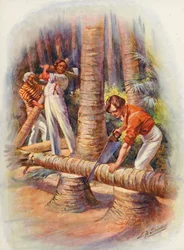 Illustration für Masterman Ready von Captain Marryat